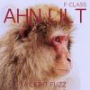 Download track A Light Fuzz