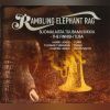 Download track Markus Fagerudd: Rambling Elephant Rag