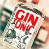 Download track Gin And Tonic