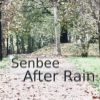 Download track After Rain