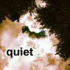 Download track Quiet 9