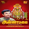 Download track Annamalaiyae Saranam