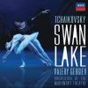 Download track Tchaikovsky- Swan Lake, Op. 20 - Mariinsky Version - Act 1 - Scene 1- Pas De Trois - Variation 1 (Allegro Semplice)