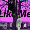 Download track Like Me (Remix)