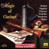 Download track Clarinet Quintet In B-Flat Major, Op. 34, J. 182: IV. Rondo. Allegro