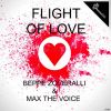 Download track Flight Of Love