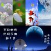 Download track 琵琶清音-百花落