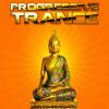 Download track Satellite (Aurosonic Progressive Mix)