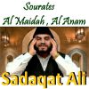 Download track Sourate Al Anam, Pt. 2 (Hafs Muratal)