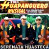 Download track Serenta Huasteca