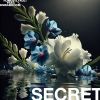 Download track SECRET (The Cautious Arc R&B Slow Burn Vocal Mix)