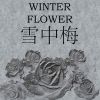 Download track Winter Flower (雪中梅) (Originally Performed By Younha & Bts Rm)