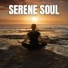 Download track Wellness Meditation