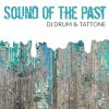 Download track Sound Of The Past (Extended Mix)