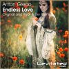 Download track Endless Love (Kiyoi & Eky Remix)