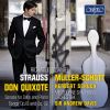 Download track Don Quixote, Op. 35, TrV 184 Var. 4, Das Abenteuer Mit Der Prozession Von Büßern