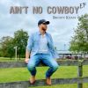 Download track Ain't No Cowboy