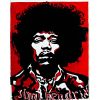 Download track Are You Experienced