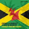 Download track Could You Be Loved (Extended Mix)