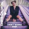 Download track I Won't Wanna Stop (Radio Edit)