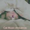 Download track Tasteful Cats