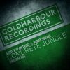 Download track Concrete Jungle (Original Mix)