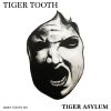 Download track Tiger Asylum (Extended Dj Edit)