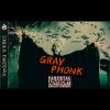 Download track Gray Money