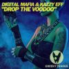 Download track Drop The Voodoo (Radio Edit)