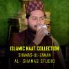 Download track Hale Dil Kis Ko Sunain