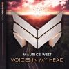 Download track Voices In My Head