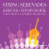 Download track Serenade In E-Flat Major, Op. 6: I. Andante Con Moto