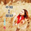 Download track 被伤害的人