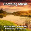 Download track Relaxing Music For Sleeping