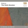 Download track Violin Sonata No. 3 In D Minor, Op. 108：I. Allegro