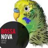 Download track Alma Brasileira