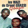 Download track Gboza