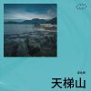 Download track 沙枣花