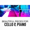 Download track Cello Sonata No. 7 In B-Flat Major, G. 8: II. Largo - Allegro - Adagio