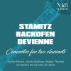 Download track Concerto Per Due Clarinetti E Orchestra In B-Flat Major, KaiS 87.3 II. Andante Moderato