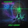 Download track Laser Samurai'