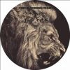 Download track Lion Films (Original Mix)