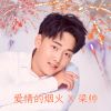 Download track 爱情的烟火 (Dj默涵版伴奏)