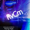 Download track Flying High (Radio Edit)