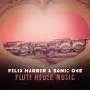 Download track Flute House Music (Extended Mix)