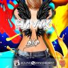 Download track Hawk (Extended Version)