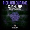 Download track Sunhump (Psywork Remix)