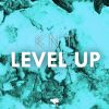 Download track Level Up (Extended Mix)