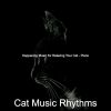 Download track Bubbly Ambiance For Kittens