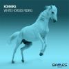 Download track White Horses Riding